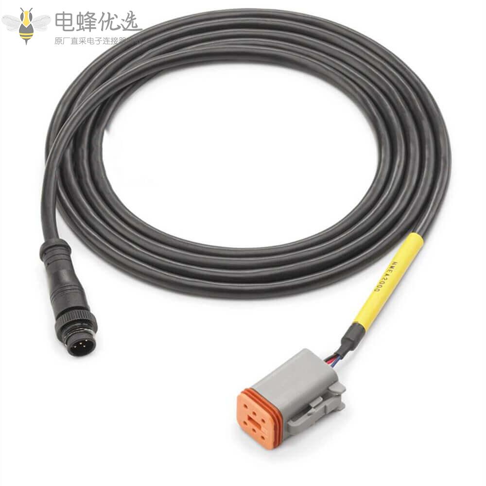 电蜂型Dt06_6S转M12公头5芯Nmea_2000船舶连接器可接线材