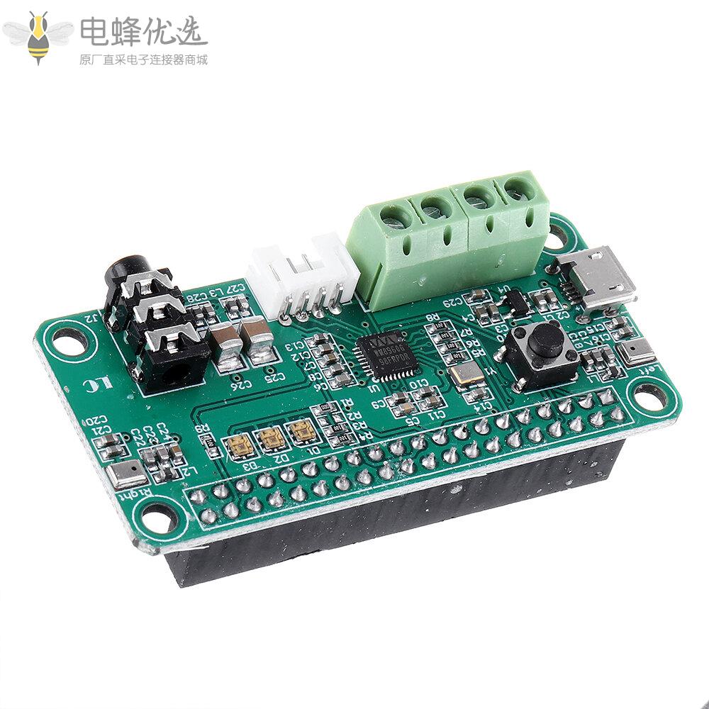 WM8960音频解码模块智能语音识别双麦克风扬声器DIY